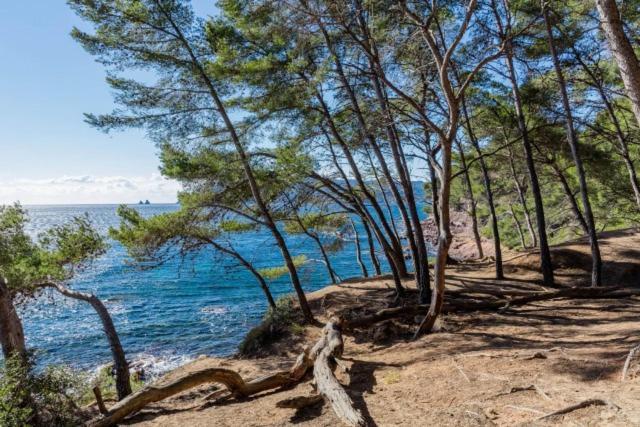 Studio Climatise Avec Jardin Et Plage A 250M Saint-Mandrier-sur-Mer Kültér fotó