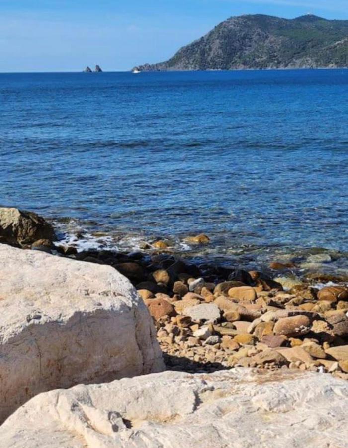 Studio Climatise Avec Jardin Et Plage A 250M Saint-Mandrier-sur-Mer Kültér fotó